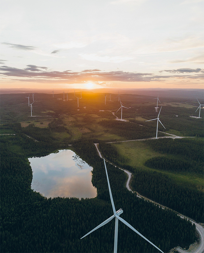 Vista aérea de una sucesión de aerogeneradores en un paisaje verde.
