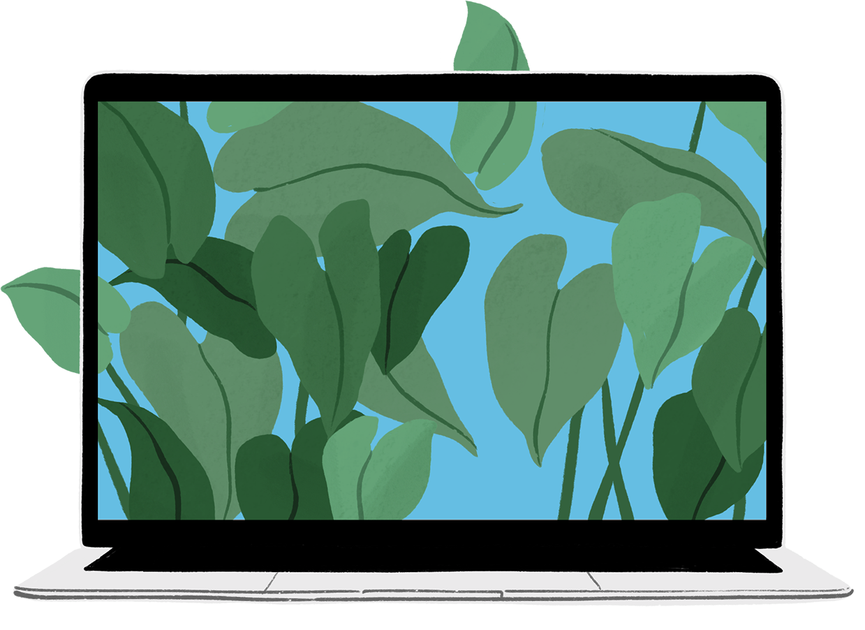 มีรูปตัวเครื่อง MacBook Air เพิ่มเข้ามาในภาพวาดคนเหมือนภาพเดิม พร้อมมีใบไม้สีเขียวปลิวออกมาจากหน้าจอ